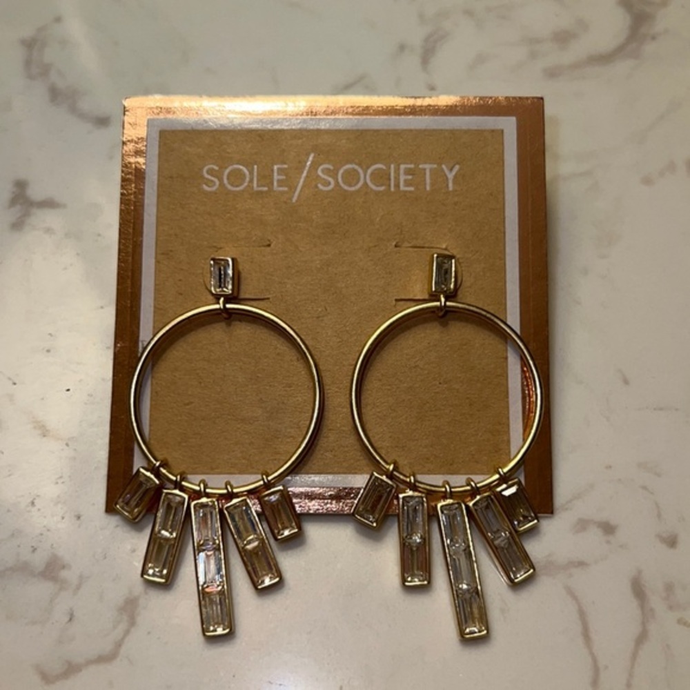 Hanging Crystal Hoop Earrings. NWOT